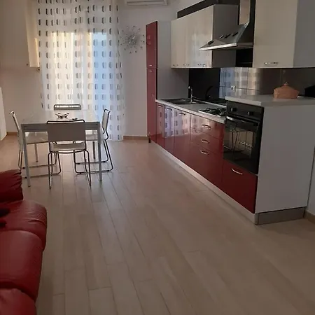 Gattini 48 *
